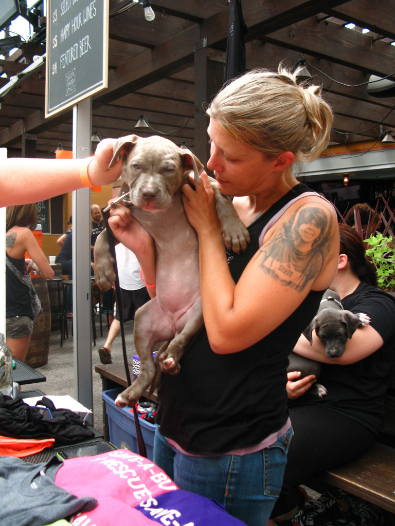 Buy A Dog, Save A Dog