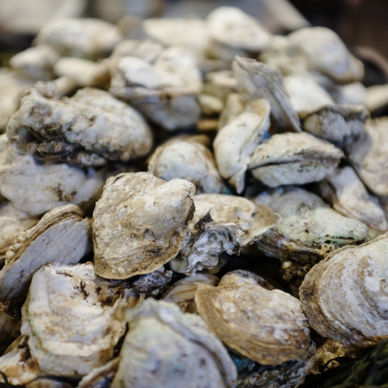 B&TB_Boarfest13_web-7